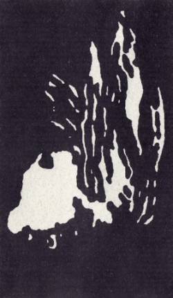 Epiphany - Fortunate